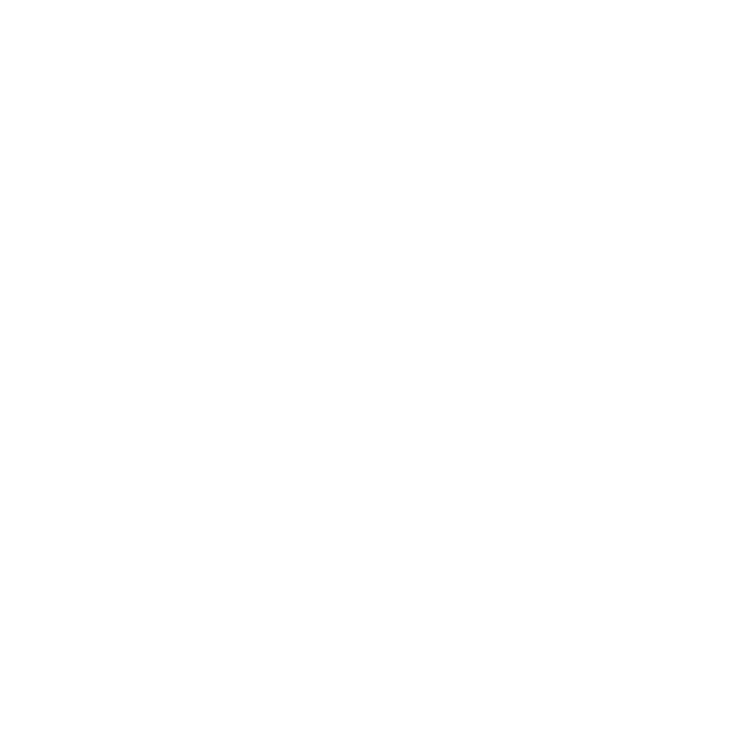 BVOX